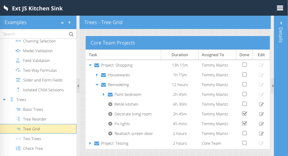 Validation task. Sencha extjs. Ext js. Extjs examples. Ext js 6.